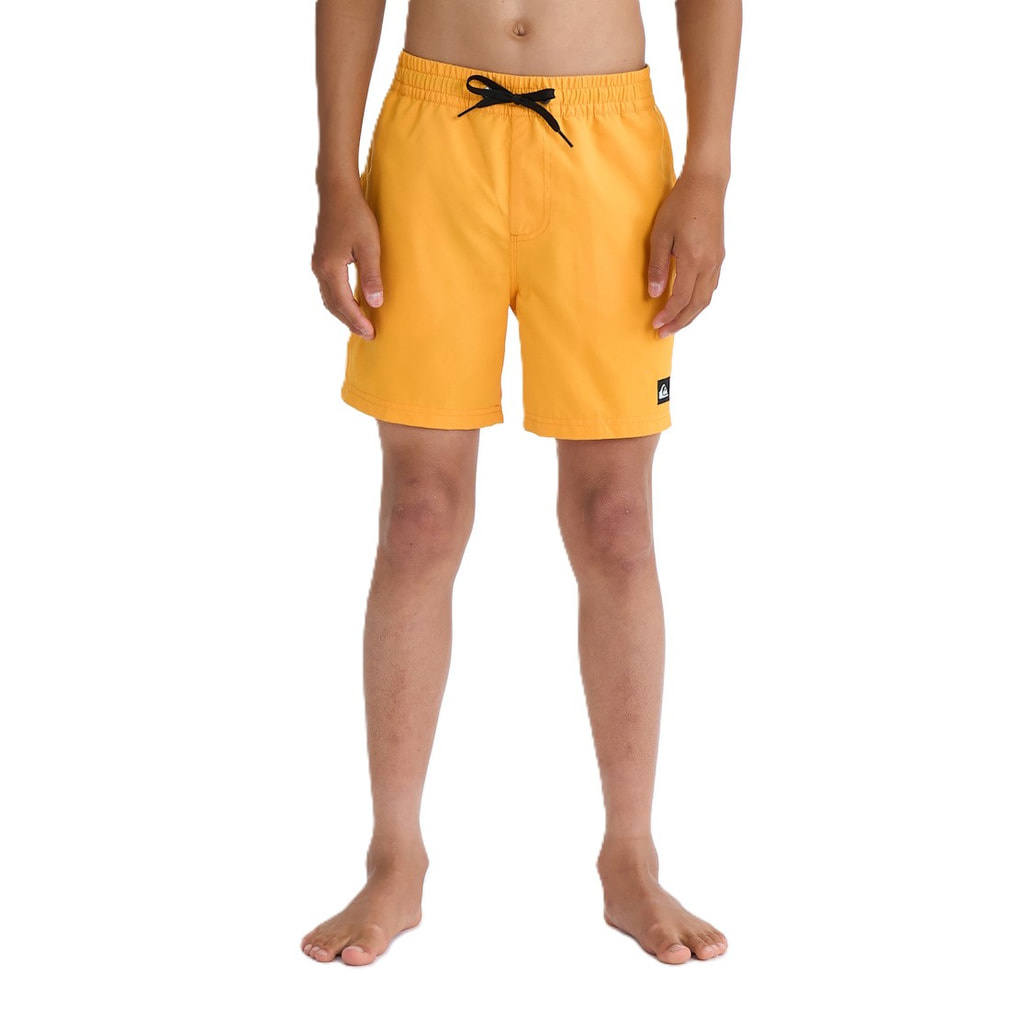�N�C�b�N�V���o�[ �W���j�A �L�b�Y �q�� �}���� ���� EVERYDAY VOLLEY YTH 14 EQBJV03543 QUIKSILVER
