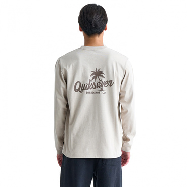 PALM SCRIPT LT
