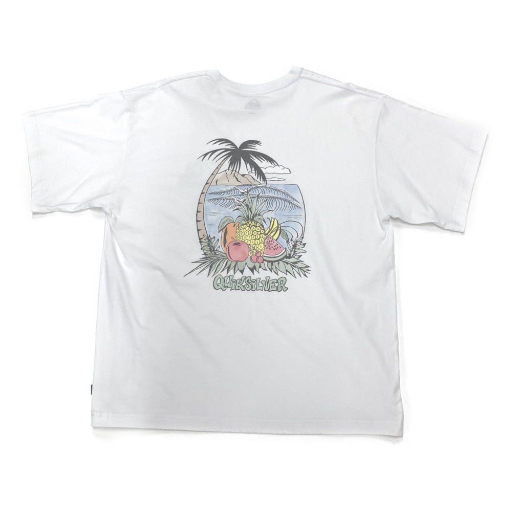 2025春夏 クイックシルバー メンズ サーフ 半袖Tシャツ FRUITS ISLAND