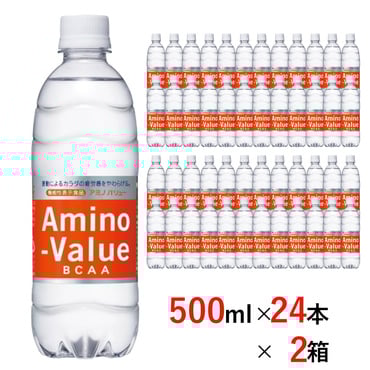アミノバリュー4000 PET 500ml×24本×2箱
