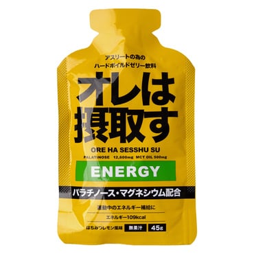 ディーエヌエス プロテインホエイ100抹茶風味 630g D231110705 ホエイ
