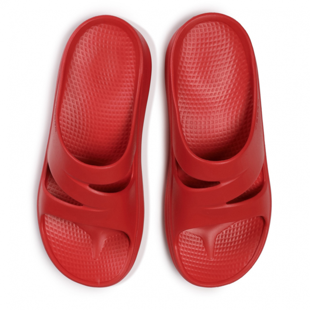 eBS RtHT_II RD TRS3054RD V[T_ F bh TIGORA