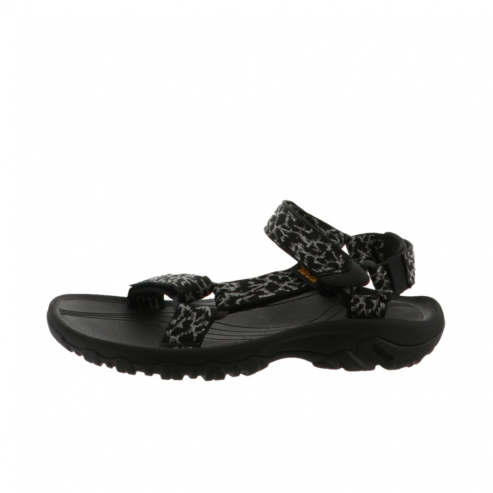 eo nP[ 4 Hurricane 4 1093379 CKG Y X|[cT_ F ubN×O[ TEVA