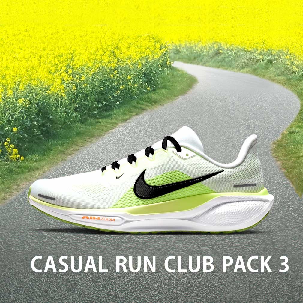 ナイキ スポーツデポ・アルペン限定カラー PEGASUS 41 エア ズーム