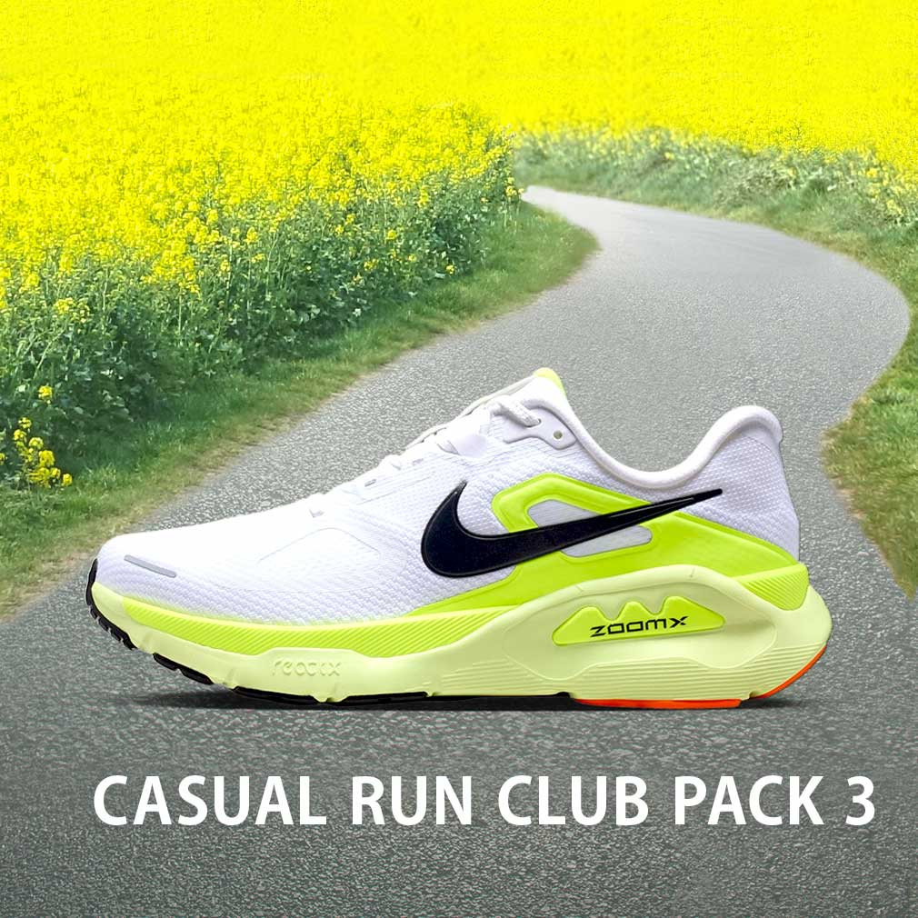 ナイキ スポーツデポ・アルペン限定カラー STRUCTURE PLUS