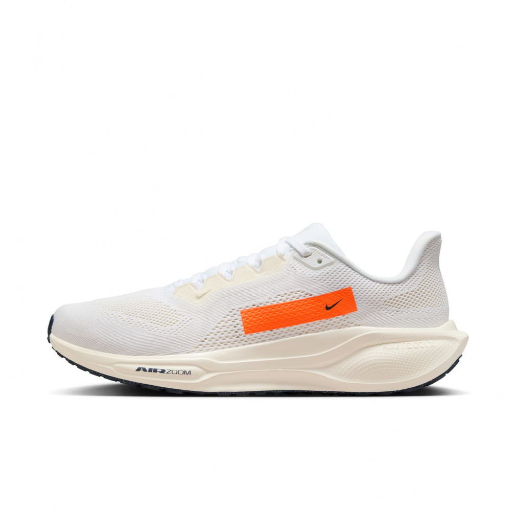 エアロペガサス ☆ NIKE AIR ZOOM PEGASUS 41 GTX エア ズーム ペガサス 41
