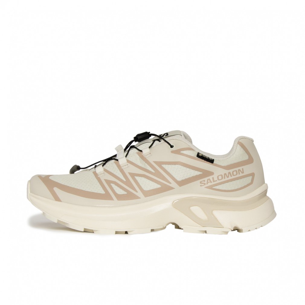 サロモン XT-EVR GORE-TEX M エックスティー ゴアテックス イーブイ