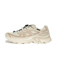 サロモン XT-EVR GORE-TEX M エックスティー ゴアテックス イーブイ