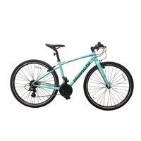 ビアンキ C-Sport 43cm(フレームサイズ)※廉価モデル (CSPORT 43