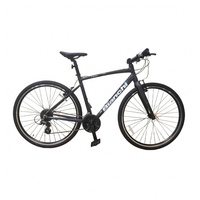 ビアンキ ビアンキ C-Sport 55cm(フレームサイズ)※廉価モデル (CSPORT 55
