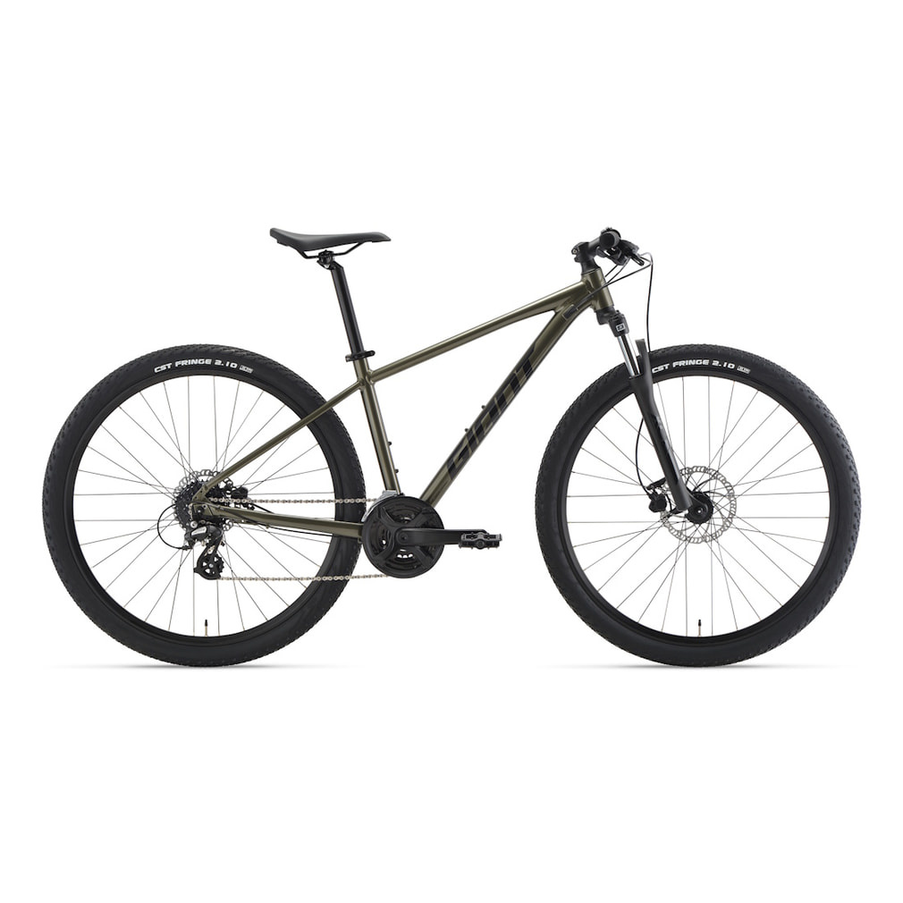 自転車 本体 マウンテンバイク（グリーン） | Alpen Online 公式