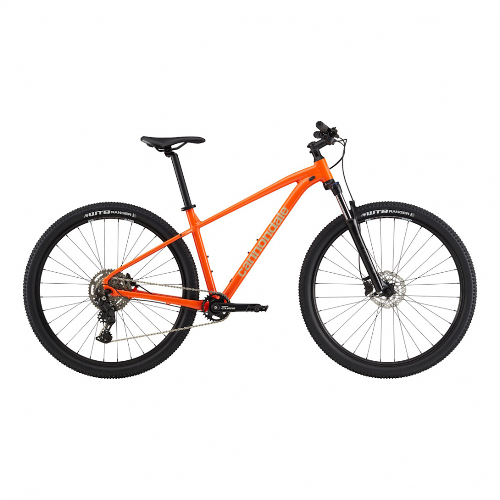 �L���m���f�[�� Trail 6(�O���[�o�����f��) (C26603U20) �o�C�V�N�� �}�E���e���o�C�N Cannondale