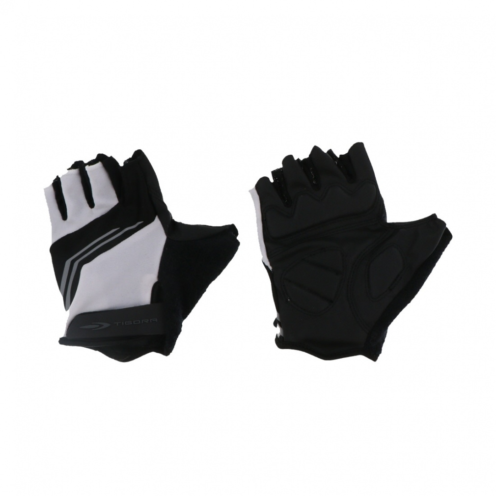 eBS oCVN TCNO[u wʂ^Cv tBK[X TR-4B1043GL TIGORA