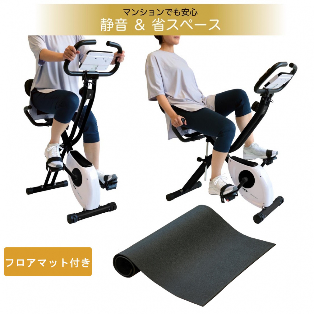ティゴラ アップライト/リカンベント バイク + マッスルフロアマット S