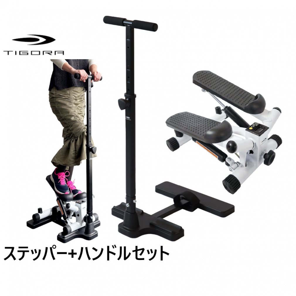 フットステッパー ステッパー+ステッパー用ハンドル セット｜Alpen Online
