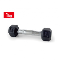 ティゴラ ラバーダンベル 1kg 1キロ 転がらない 床 保護 筋トレ 大胸筋