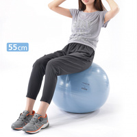 ノンバーストタイプバランスボール 55cm サックス
