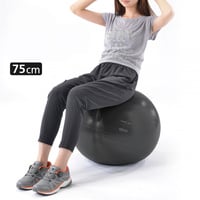 バランスボール ノンバーストタイプ 75cm｜Alpen Online