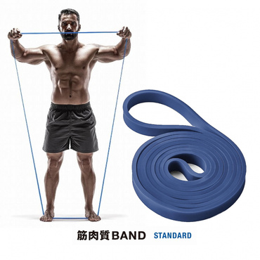 筋肉質バンド スタンダード