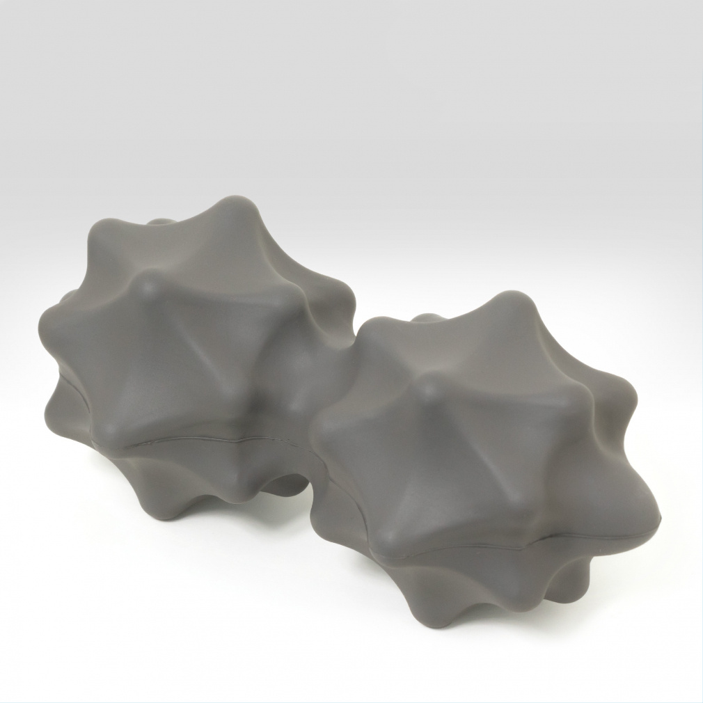 eBS tBbglX EEwSS }bT[W{[ //w//^ TIGORA