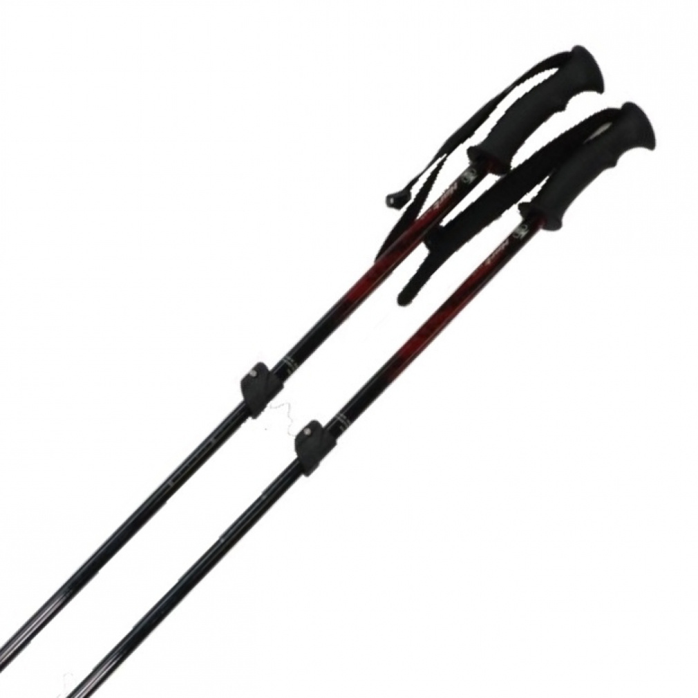 ハート 伸縮ポール AL-AJS スキー ポール : レッド×ブラック HART