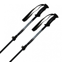 AL-AJS 伸縮 アルミ スキー ストック ブラック