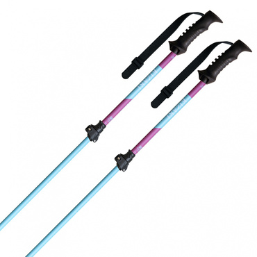 シルビックTLアルミ