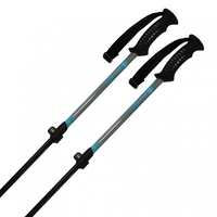 LEKI アルペン　アルミストック　125cm 新品未使用 ハート AL-AJS_ サックスグレー_アルミAJS レディス スキー ポール