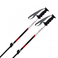 ハート クエストAJSチーム 伸縮ポール ジュニア キッズ 子供 スキー