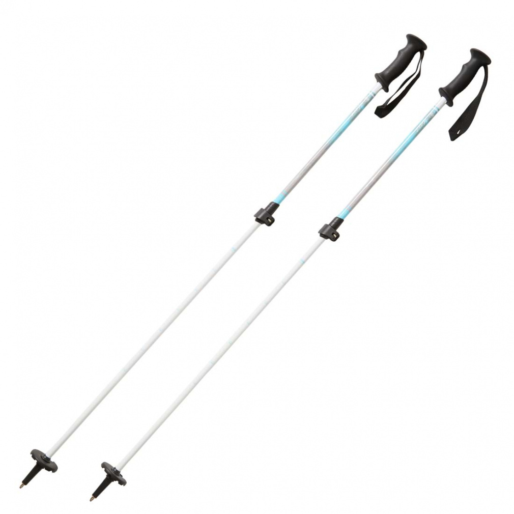 ハート AL-AJSチーム サックス ジュニア キッズ 子供 スキー ポール