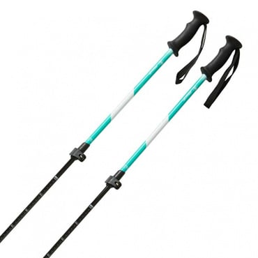 AL-AJSチーム 伸縮 アルミ ジュニア スキー ストック ブルー