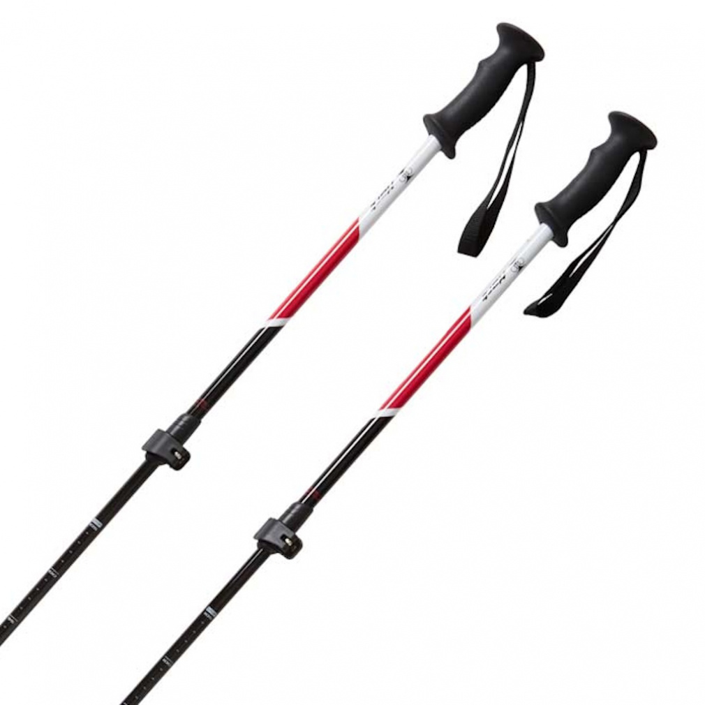 ハート AL-AJSチーム レッドブラック ジュニア キッズ 子供 スキー