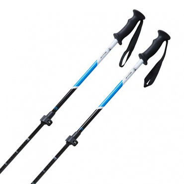AL-AJSチーム スキーストック ブルーブラック