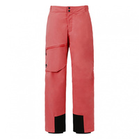 S.I.O INSULATED BIB PANTSの画像