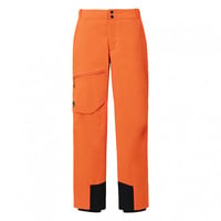 デサント メンズ スキー パンツ S.I.O INSULATED BIB PANTS DW5FLP55U