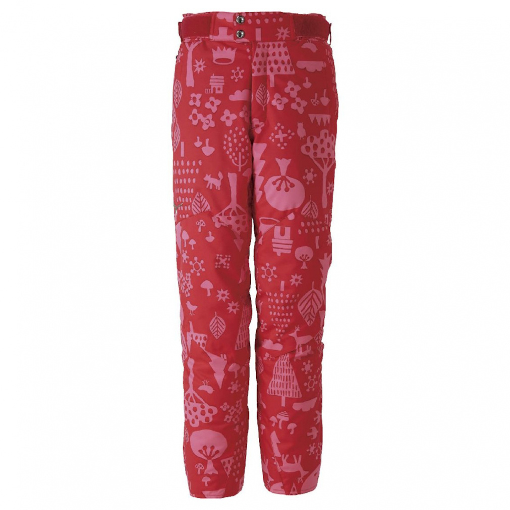 ミズノ スキー パンツ Mizuno Demo Team Print Pants Z2MF932271