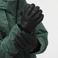 ファブリス メンズ スキー グローブ ユニ スキーレザーグローブ FA