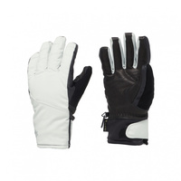 ゴールドウィン レディース スキー グローブ ウィメンズゴアテックス