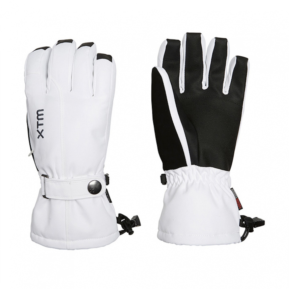 GbNXeBG fB[X XL[ O[u XTM fB[XO[u CL010 CL010 xtm