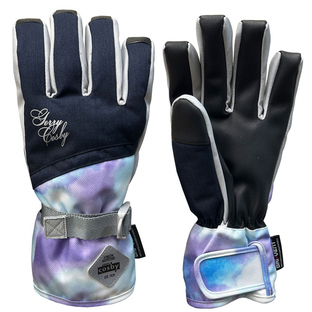 コスビー レディース スキー グローブ レディースグローブ CS-6219