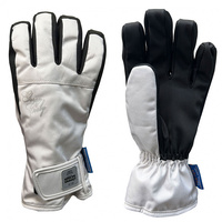 コスビー レディース スキー グローブ レディースグローブ CS-6220