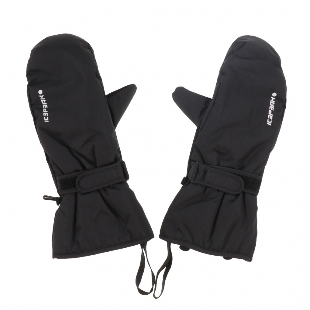 ACXs[N Y XL[ O[u HAYSBURG_ACXs[N 858852564 990 F ubN ICEPEAK