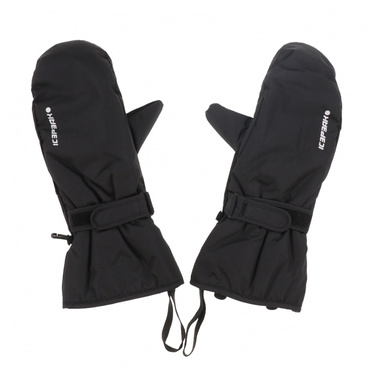 ゴールドウィン メンズ スキー グローブ Leather 3-finger Formfitting