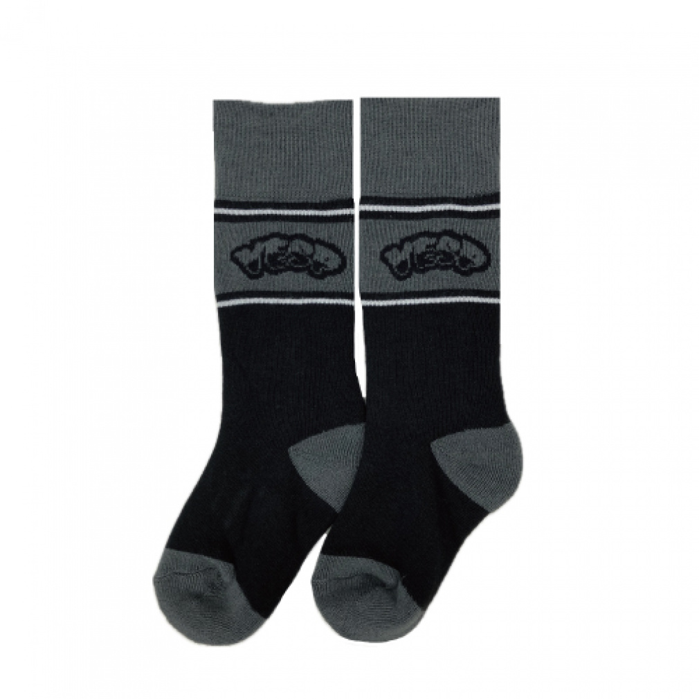 xXv WjA LbY q XL[/Xm[{[h \bNX JR SOCKS VPJK2005 VESP