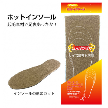 ホットインソール