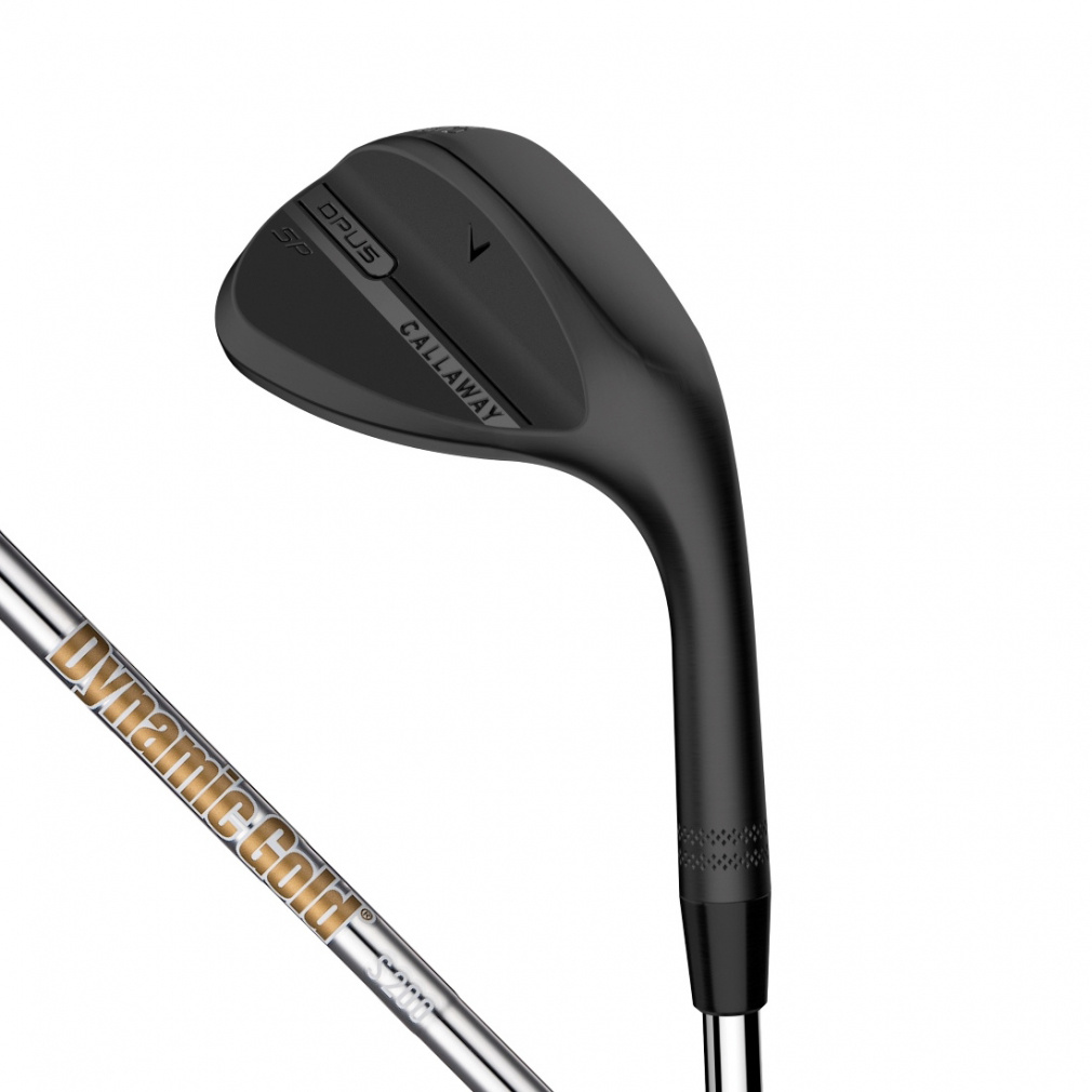 SM6 ウェッジ 52度 58度 Dynamic Gold S200 SM6 ウェッジ 52度 58度 Dynamic Gold S200
