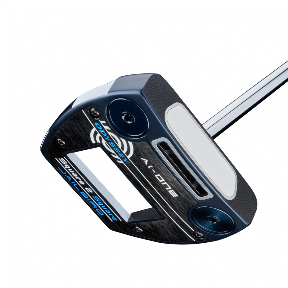 Ai-ONE Square 2 Square JAILBIRD｜Alpen Online