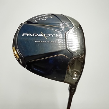 PARADYM 1W その他カーボン