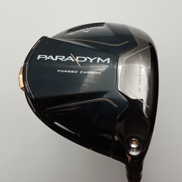 PARADYM 1W その他カーボン