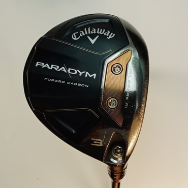PARADYM FW その他カーボン